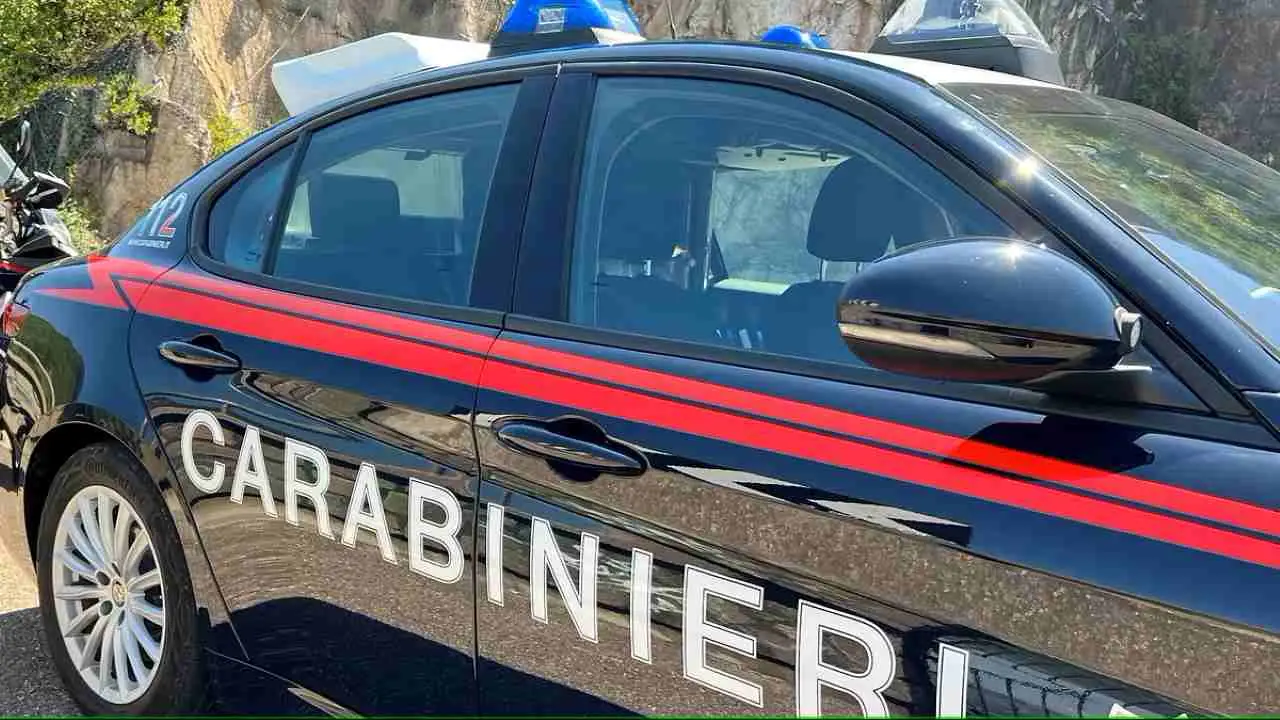 Immagine selezionata